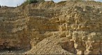 Triassic limestone, Zyglin, Poland