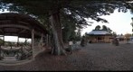宮城県：名取市：熊野那智神社：境内