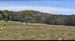 ANU Kioloa Field Station