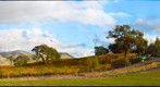 Boa Ventura Vineyards