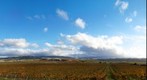 Weather Over Wine Country