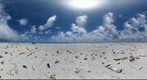 Trash on Seal-Kittery Island, Pearl and Hermes Atoll