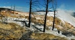 Yellowstone National Park - Mammoth Terrace