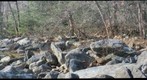 Devil's Racecourse, Ft. Ritchie, MD