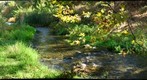 Autumn Creek 