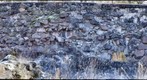 Loviisa 2