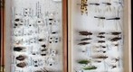 Student Collection 1A