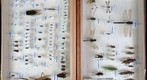 Student Collection 6A
