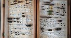 Student Collection 7A