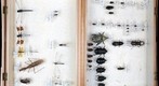 Student Collection 10A