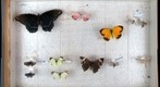 Student Collection 11C