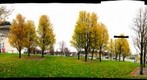 Rose Garden Lawn, Portland, OR