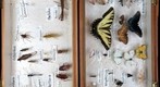 Student Collection 15A