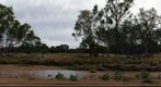 Todd River at the Telegraph Station