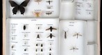 Student Collection 16C