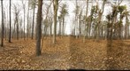 Dairy Bush GigaPan - 171 – December 5 2012
