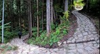 Nakasendo Trail between Magome and Tsumago, Japan