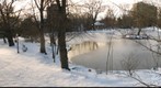 Freshwater Pond in Winter, Public Gardens, Halifax, Nova Scotia, Canada