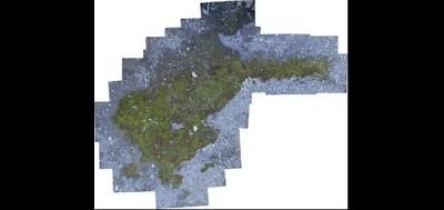 119614-400x189