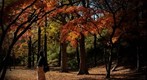 Indian summer