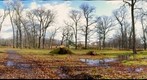 Johnson Park 1
