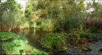 Arroyo Del Valle Pond