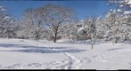 Kenwood Park, Minneapolis, Minnesota