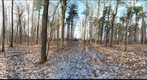 Dairy Bush GigaPan - 172 – December 12 2012