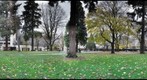 AFEHolladay Park 360deg1212