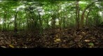 121130 - Costa Rica, Area de Conservacion (ACG), Volcan Rincon de la Vieja - 900m 