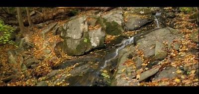 12009-400x189
