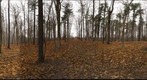 Dairy Bush GigaPan - 173 – December 19 2012 
