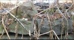 Sticks and Stones