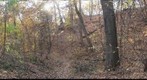 Schenley Park path