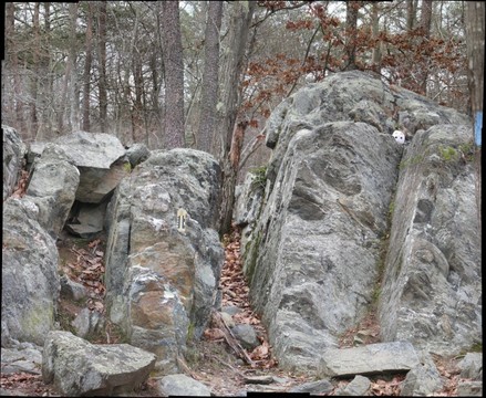 120244-439x360