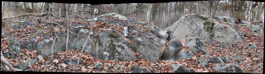 120267-900x253