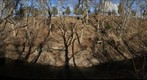Folds in Edinburg Formation, Opequon Creek, Clarke County, Virginia