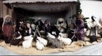 Krippe 3