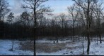Snowy front yard, early Christmas morning 2012