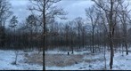 Snowy front yard, early Christmas morning 2012