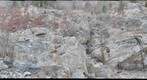 Rocky Islands from the Towpath