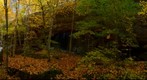 Bell Smith Springs