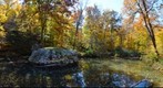 Bell Smith Springs