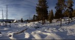 Trail to Observation Point