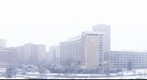Snowfall - 12-31-12