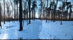 Dairy Bush GigaPan - 174 – January 02 2013 