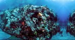 Petite Byahaut Reef