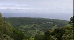Hana Road 1