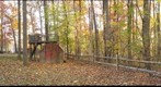 Wood Shed
