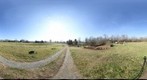 Farm1A_s1